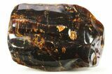 Piece Of Polished Indonesian Amber - Massive! #244154-1